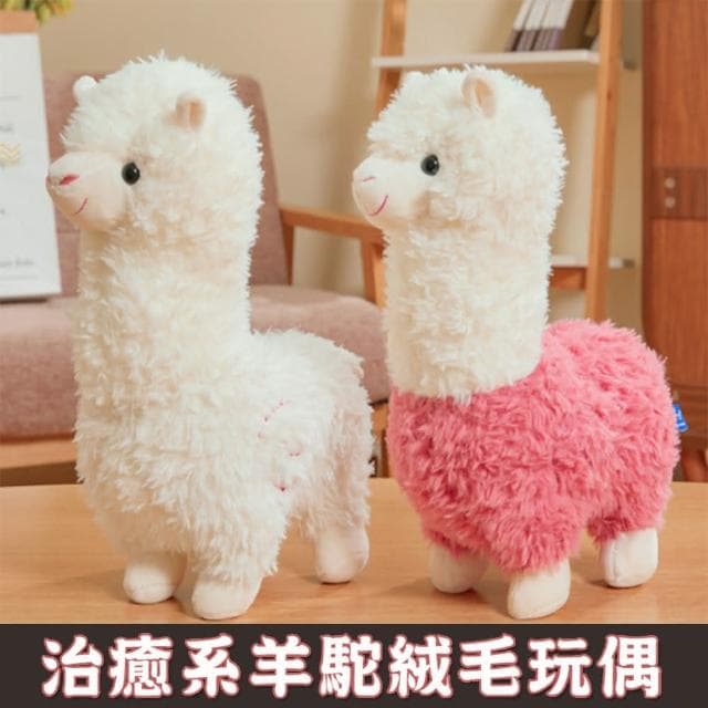 治癒系羊駝絨毛玩偶 55cm草泥馬娃娃 抱枕 公仔 療癒 生日禮物 聖誕節