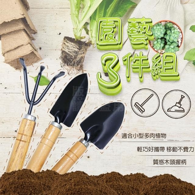 園藝鏟子三件組合(多肉植物  園藝工具 耙子 鏟子 小鏟子 換土 迷你鏟 多肉工具 盆栽 種植 植物 鬆土)