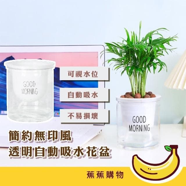 【蕉蕉購物】簡約無印風透明自動吸水花盆懶人盆栽 塑膠盆 植物花盆 水耕植物 擺飾 水盤 辦公室