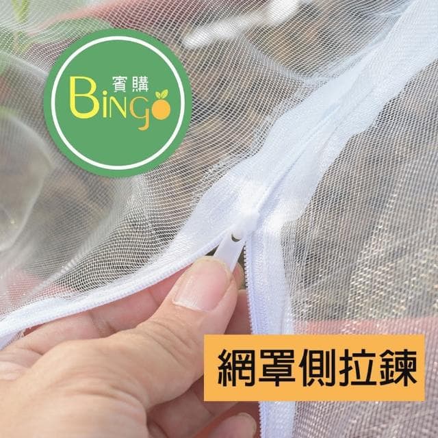 Bingo賓購 尼龍帶拉鍊植物防蟲網罩 180x180公分(防鳥罩、防鳥網、無花果樹網、盆栽果樹網)