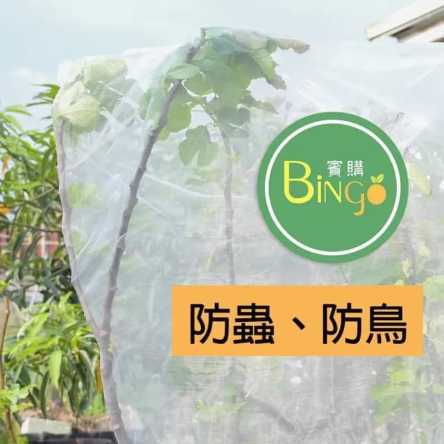 Bingo賓購 尼龍植物防蟲網罩 120x180公分(防鳥罩、防鳥網、無花果樹網、盆栽果樹網)