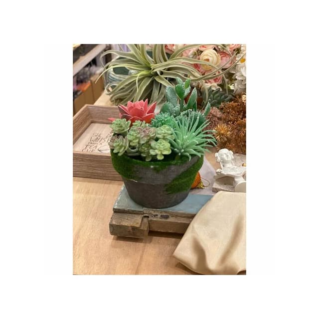 仿真多肉 組盆多肉 人造花 仿真花 組盆 療癒 佈置 療癒植物 多肉盆栽佈置 GXS拍照道具