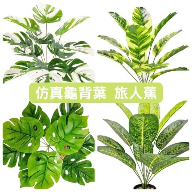 龜背葉 仿真植物 假盆栽 龜背芋 室內植物 花 植物 植栽 假植物 人造植物 GXS拍照道具(仿真植物 假盆栽)
