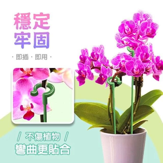 植物支架 17cm 植物支撐 植物支撐桿 盆栽支撐架 盆栽支架 爬藤支架 花盆支架 蘭花支架 園藝支架 蝴蝶蘭植物支撐桿