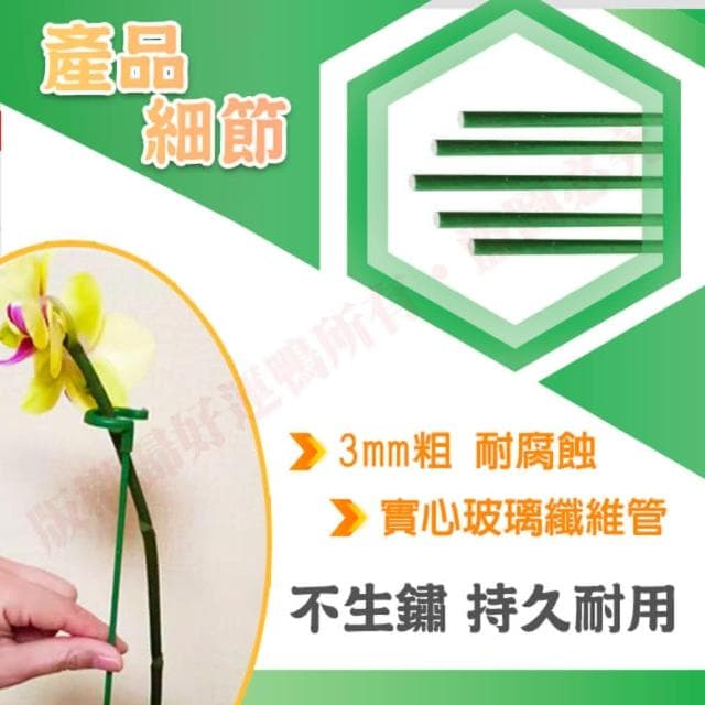 植物支架 17cm 植物支撐 植物支撐桿 盆栽支撐架 盆栽支架 爬藤支架 花盆支架 蘭花支架 園藝支架 蝴蝶蘭植物支撐桿