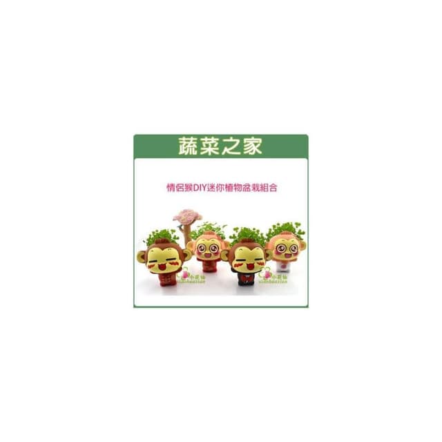 【蔬菜之家】情侶猴DIY迷你植物盆栽組合