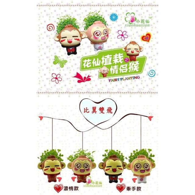 【蔬菜之家】情侶猴DIY迷你植物盆栽組合