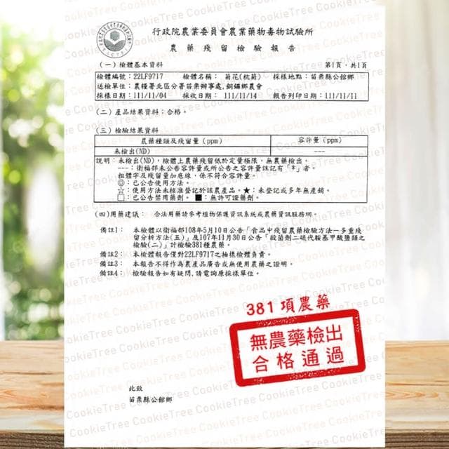 台灣菊花 黃菊 白菊 檢驗合格 當季採收(整朵90g)