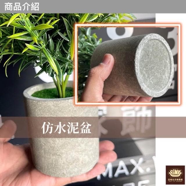 【PiNYU 品柚生活傢飾館】仿水泥假盆栽(北歐風仿水泥盆仿真植物仿真綠植物 綠化盆栽 小盆栽尤加利室內盆栽)