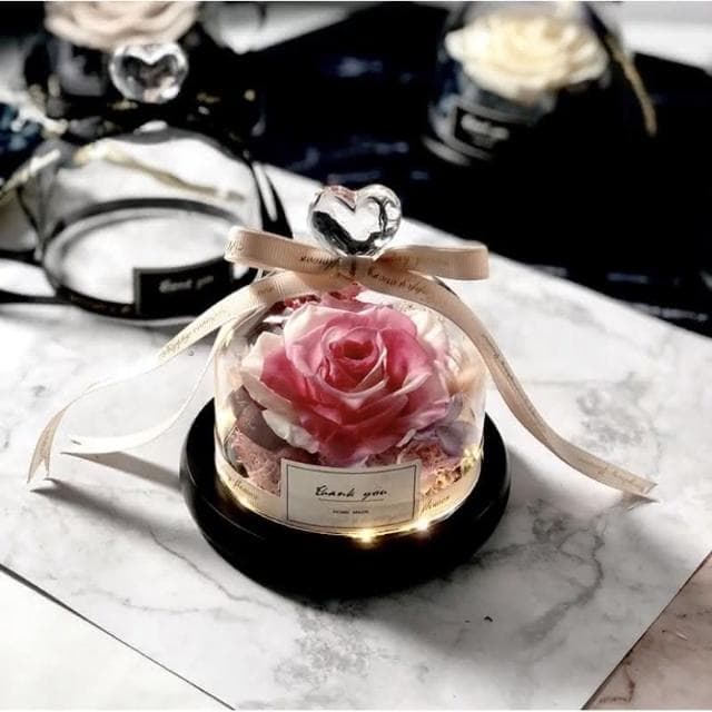 浪漫精美 永生花燈罩組浪漫系列 禮物 情人紀念禮物 生日禮物 紀念物