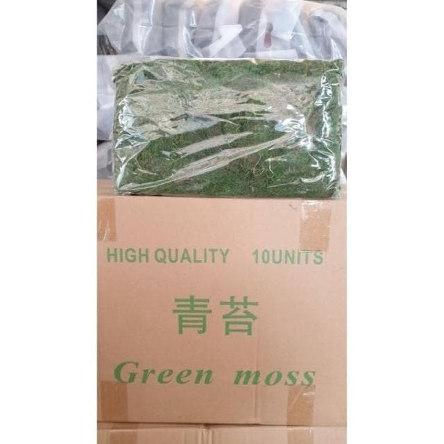 《大欣園藝》全館799免運_綠水苔一公斤(綠水苔 綠水草 蘭花 苔球植物 盆栽鋪面 綠水草 蘭花園藝裝飾草 多肉 組盆裝飾 青苔)