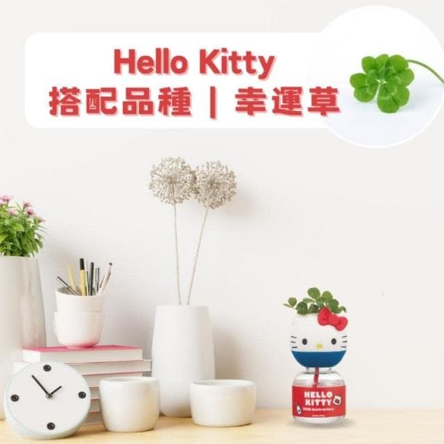 【Green Pandora】Hello kitty 療癒植物瓶  盲盒凱蒂貓 大耳狗 庫洛米   桌上盆栽