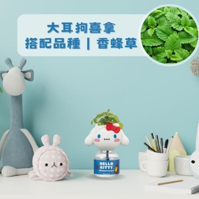 【Green Pandora】Hello kitty 療癒植物瓶  盲盒凱蒂貓 大耳狗 庫洛米   桌上盆栽
