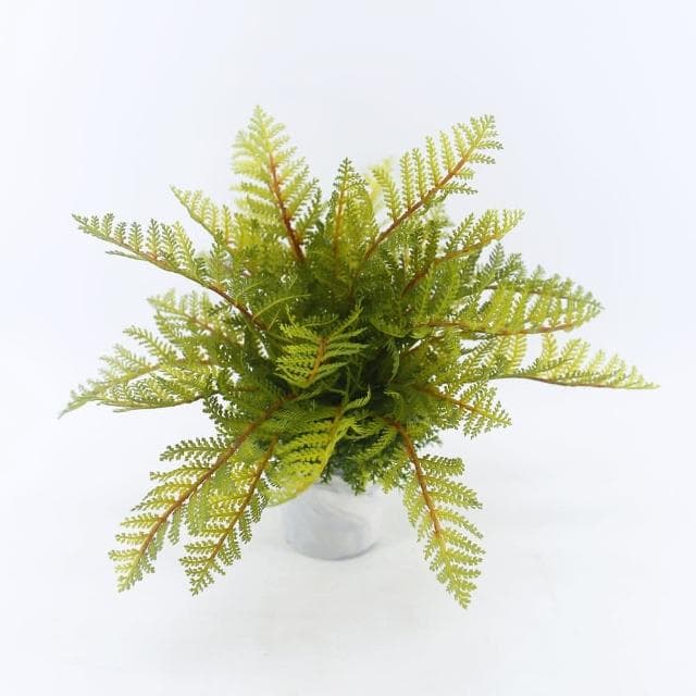 【HUGO DECO 榆果傢飾】高擬真蕨類小品盆栽人造植栽/仿真植物/綠化/佈置