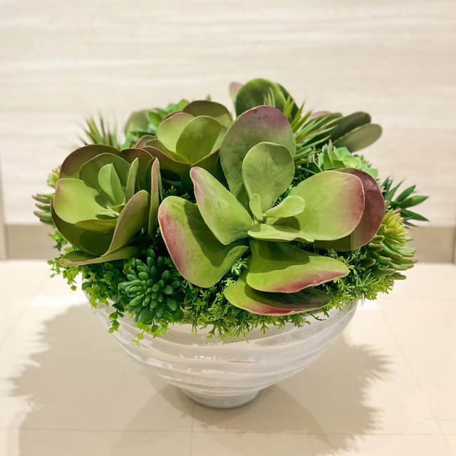 【HUGO DECO 榆果傢飾】特級擬真唐印多肉植栽組合 免運專人配送限雙北市人造植栽/仿真植物/綠化/佈置