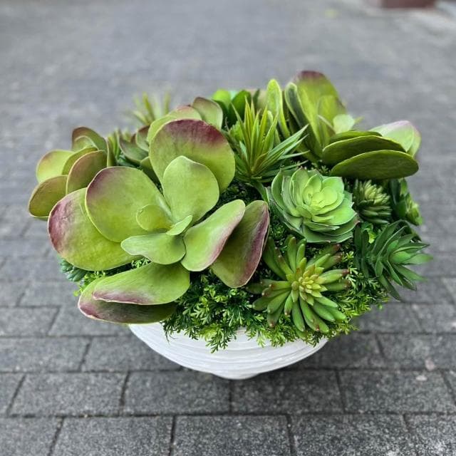 【HUGO DECO 榆果傢飾】特級擬真唐印多肉植栽組合 免運專人配送限雙北市人造植栽/仿真植物/綠化/佈置