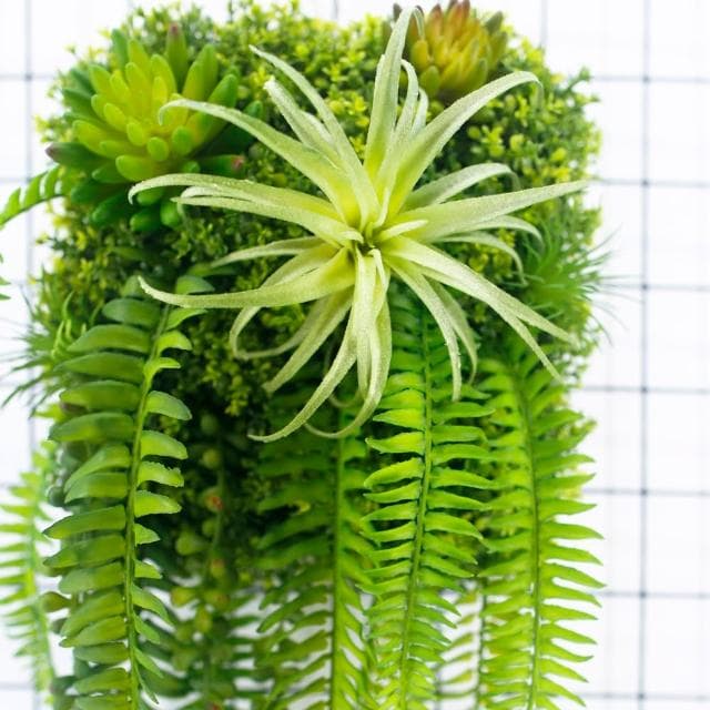 【HUGO DECO 榆果傢飾】空氣鳳梨蕨葉植生框(擬真植栽/擬真植物/電箱佈置/居家佈置/壁面裝飾)