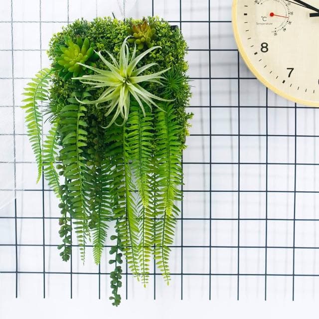 【HUGO DECO 榆果傢飾】空氣鳳梨蕨葉植生框(擬真植栽/擬真植物/電箱佈置/居家佈置/壁面裝飾)