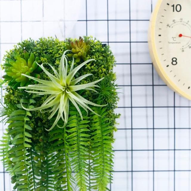 【HUGO DECO 榆果傢飾】空氣鳳梨蕨葉植生框(擬真植栽/擬真植物/電箱佈置/居家佈置/壁面裝飾)