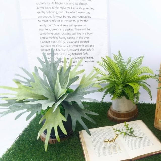 【HUGO DECO 榆果傢飾】高擬真鹿角蕨盆栽(擬真植物/禮物/綠化/永不凋零/佈置/蕨類)