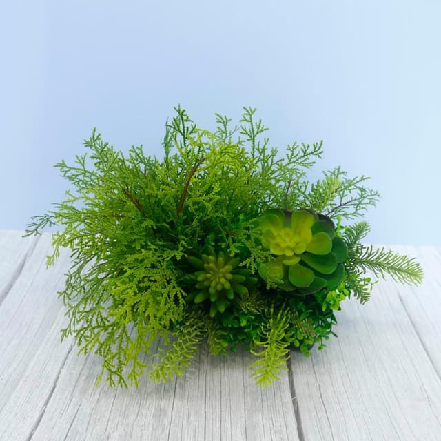 【HUGO DECO 榆果傢飾】高擬真蕨草多肉植物盆栽(擬真植物/禮物/綠化/永不凋零/佈置/蕨類)