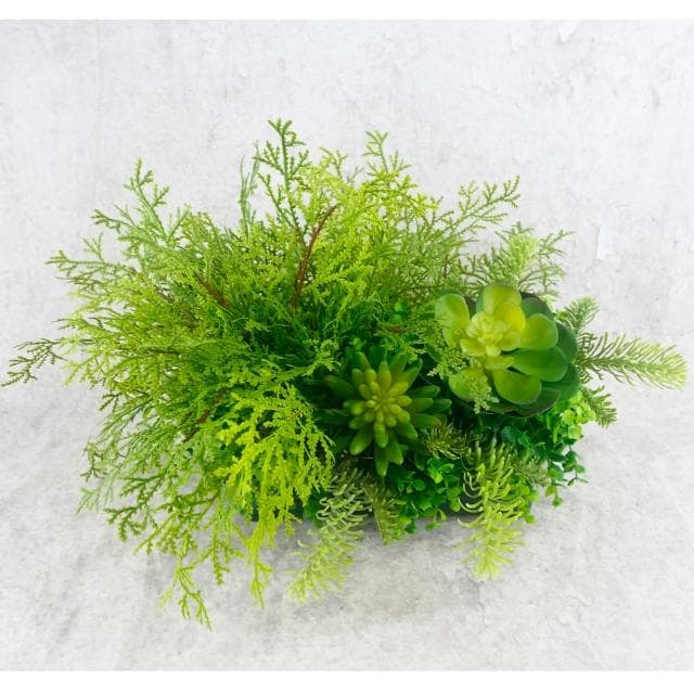【HUGO DECO 榆果傢飾】高擬真蕨草多肉植物盆栽(擬真植物/禮物/綠化/永不凋零/佈置/蕨類)