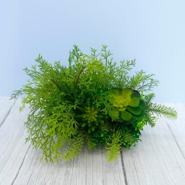 【HUGO DECO 榆果傢飾】高擬真蕨草多肉植物盆栽(擬真植物/禮物/綠化/永不凋零/佈置/蕨類)
