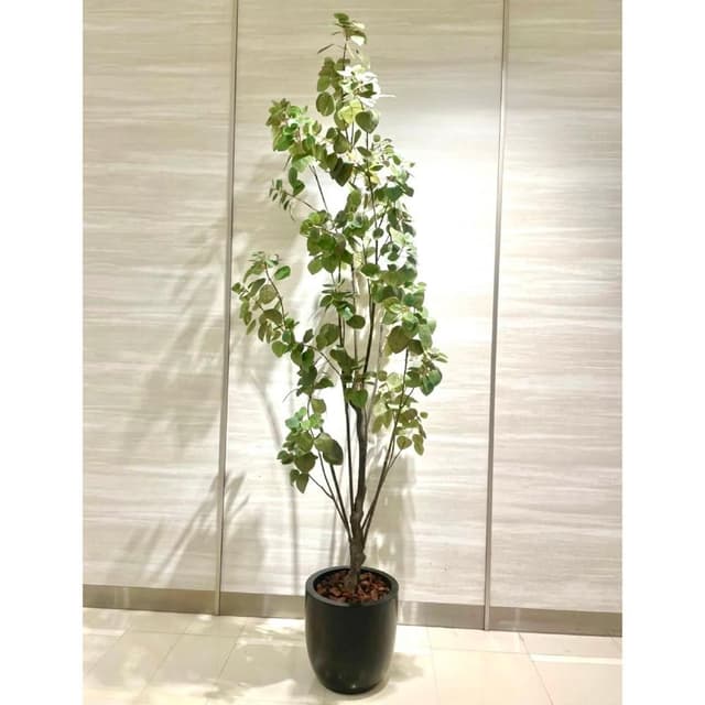 【HUGO DECO 榆果傢飾】擬真綠石榴樹植栽 免運專人配送限雙北市(仿真盆栽/綠化植物)