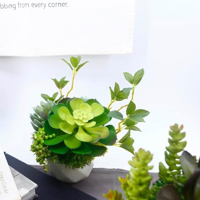 【HUGO DECO 榆果傢飾】大寶石蓮枝芽多肉盆栽(擬真植物/人造盆栽/綠化/佈置/禮物)