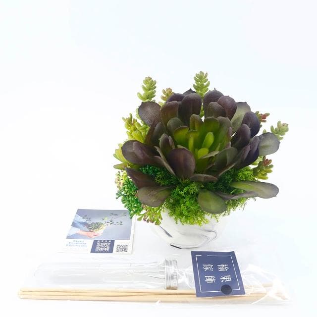 【HUGO DECO 榆果傢飾】黑法師多肉香氛盆栽(擬真植物/人造盆栽/綠化/佈置/禮物)