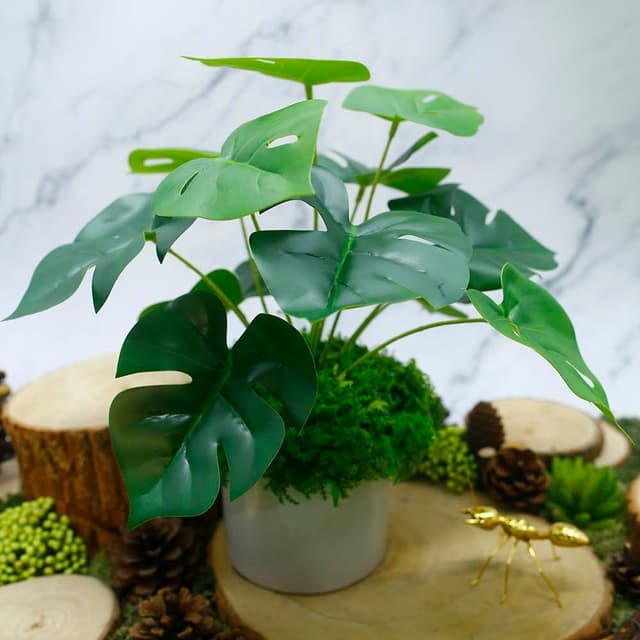 【HUGO DECO 榆果傢飾】擬真龜背芋 電信蘭香氛植栽 低款(擬真植物/人造盆栽/綠化/佈置/禮物)