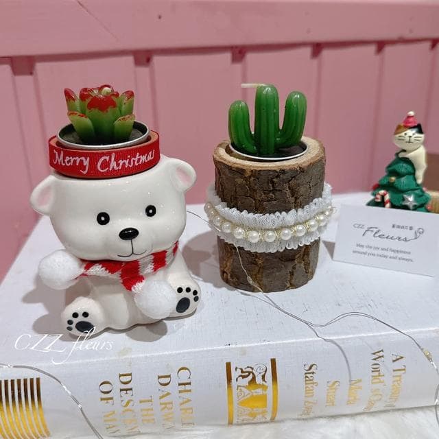 聖誕動物寶寶給你療癒多肉-香薰多肉蠟燭禮盒（交換禮物/聖誕禮物/生日禮物）