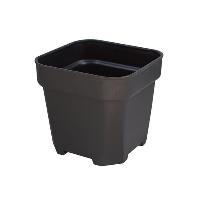 【Gardeners】多肉加厚透氣矮方盆10.5cm-10入植物盆栽園藝盆器方盆