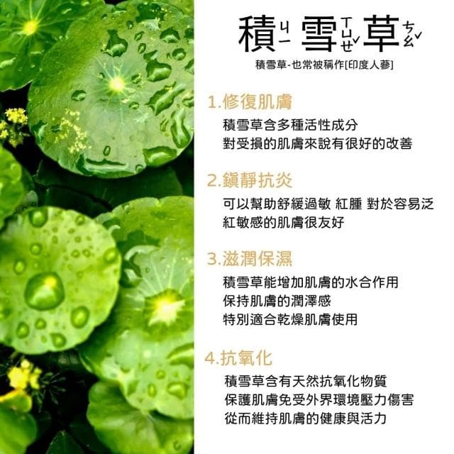 【Medicube】積雪草面膜(30P) 一入 (((玻尿酸 保濕 舒緩 修護 植萃 面膜 日常保養 medicube 庶務客)))