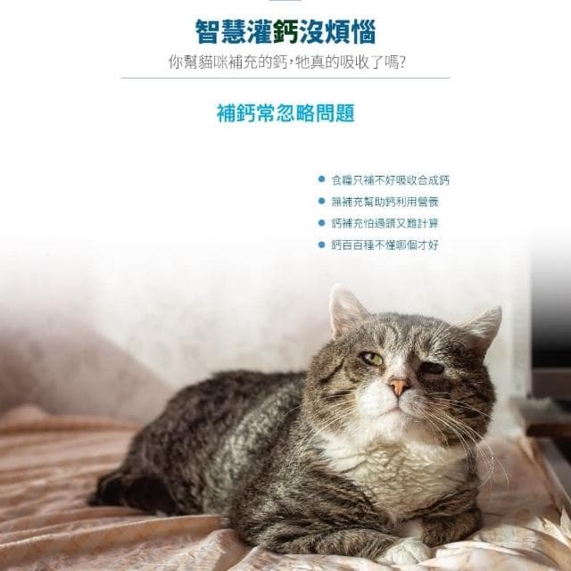 【MORESON 木入森】貓咪補充鈣質 30包/盒 D藻鈣(補充鈣質 補充營養 貓咪保健品 貓咪保養品)