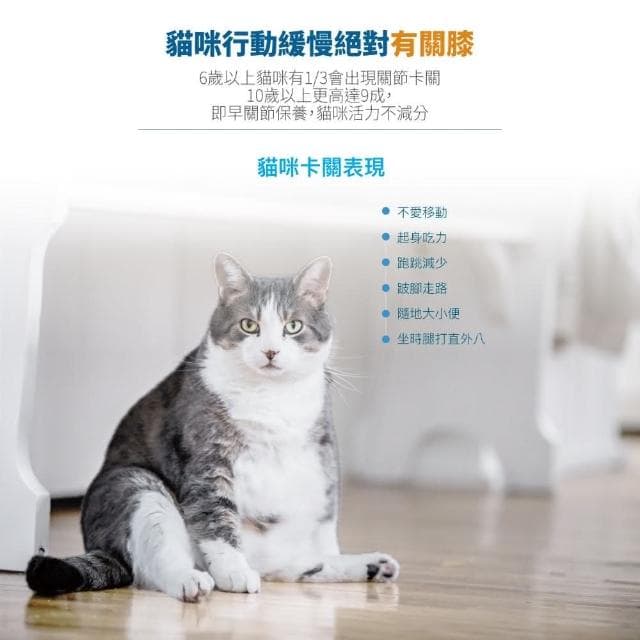【MORESON 木入森】貓咪關節保健 30顆/盒 有關膝(骨骼保健 補充營養 貓咪保健品 貓咪保養品)