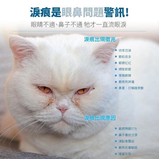 【MORESON 木入森】貓咪眼鼻保養 60顆/盒 痕淨白(幫助貓咪淚痕 補充營養 貓咪保健品 貓咪保養品)