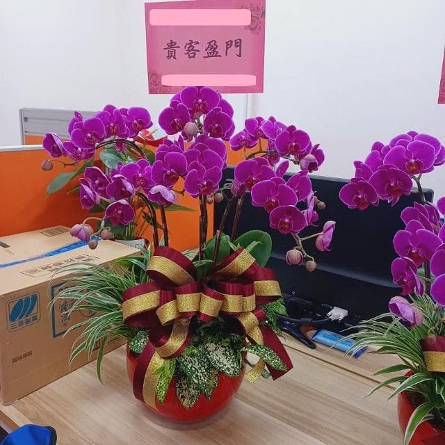 {宇璐花卉} 蝴蝶蘭組合盆栽/開幕開市/榮升榮調/喬遷/會員大會/競選總部成立/物品所在地台北市