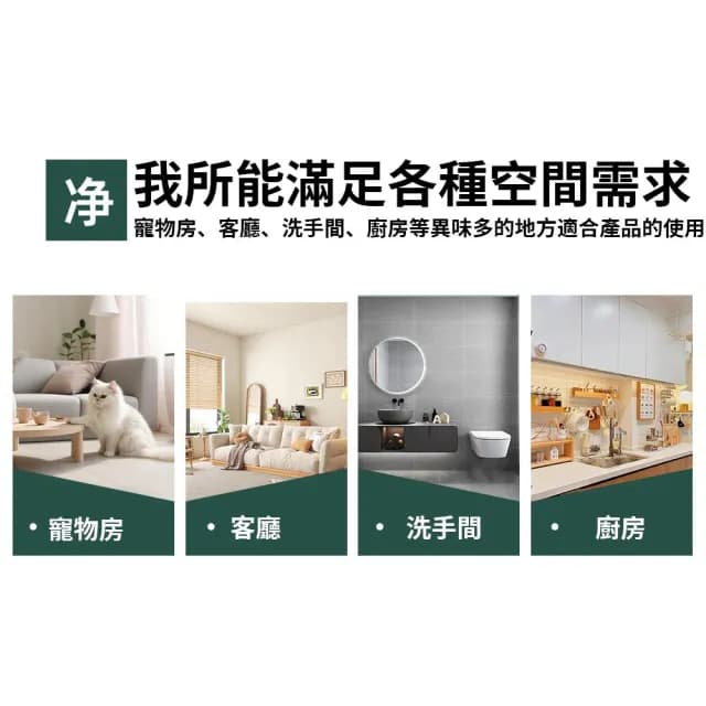 【IPSKY】負離子空氣淨化器（空氣清淨機 寵物淨味器 除臭去異味 0耗材）