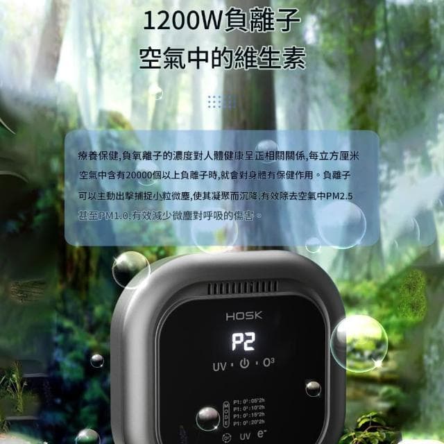 【IPSKY】車家兩用空氣清淨機 車用清淨機（臭氧消毒機 UV殺菌去異味 負離子空氣淨化器 寵物淨味器 寵物清淨機  ）