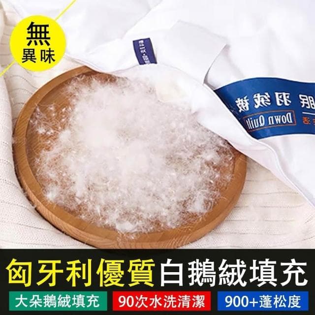 羽絨被 加厚保暖冬被芯 100白鵝絨羽毛被 100S全棉防羽面料羽絨被（蓬松保暖 方格鎖絨180*220CM  ）