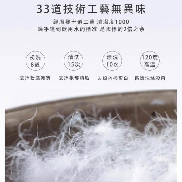 羽絨被 加厚保暖冬被芯 100白鵝絨羽毛被 100S全棉防羽面料羽絨被（蓬松保暖 方格鎖絨180*220CM  ）