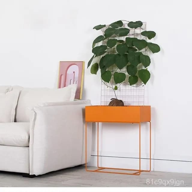 🎉特價下殺 花架 陽臺花架 落地架 鐵藝花架落地式放花盆的花架子客廳室內植物簡約擺件飾品綠蘿花架 植物花架 盆栽架