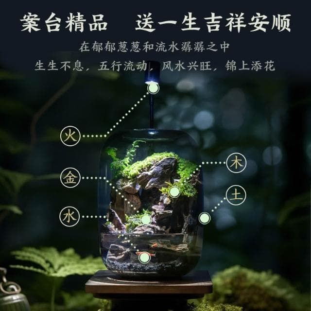 免運 青苔盆栽 盆栽 蘚微景觀生態瓶 辦公室盆栽 內桌面養魚綠植盆栽 造景觀植物盆栽 花盆