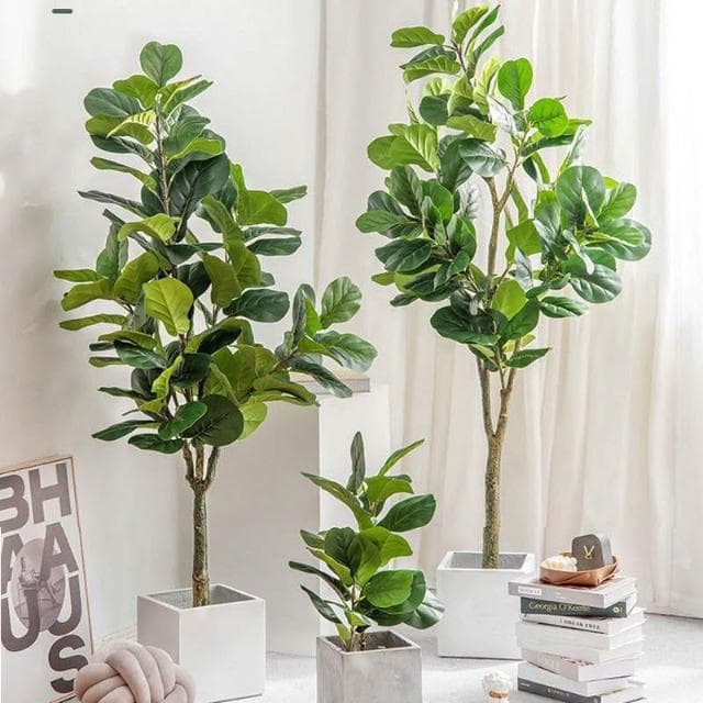 假植物琴葉榕榕樹仿真琴葉榕盆栽尤加利樹植物室內擺件綠植大盆景假花ins家居客廳裝飾