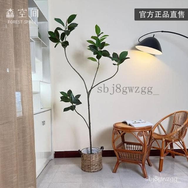 免運費 仿真綠植橡皮樹假綠植輕奢北歐客廳臥室裝飾落地式橡皮樹植物盆栽