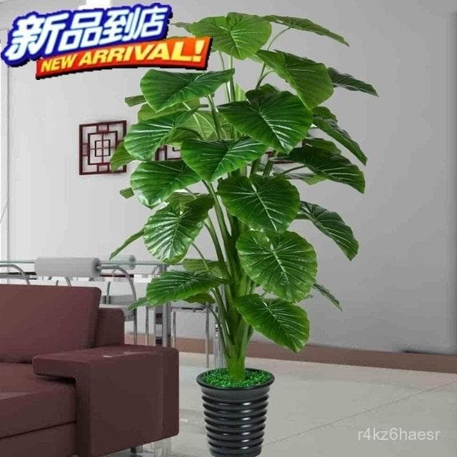 可開發票 假樹滴水觀音綠植仿真植物落地盆栽大型客廳盆景假花裝飾塑料花藝