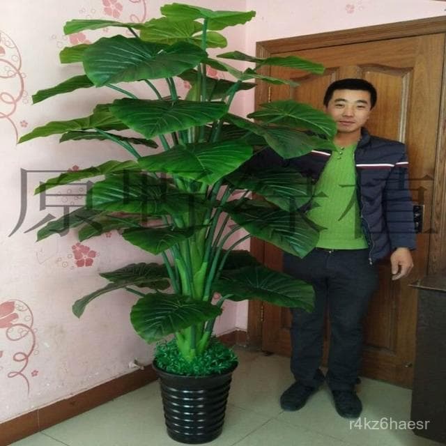 可開發票 假樹滴水觀音綠植仿真植物落地盆栽大型客廳盆景假花裝飾塑料花藝