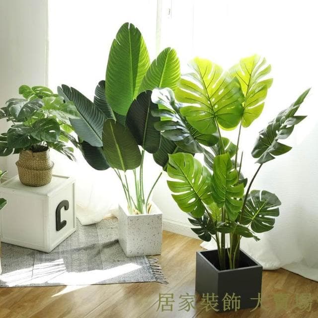 仿真綠植 樹 龜背葉 琴葉榕 大型北歐ins風仿真綠植旅人蕉天堂鳥客廳落地假盆栽景植物擺件樹