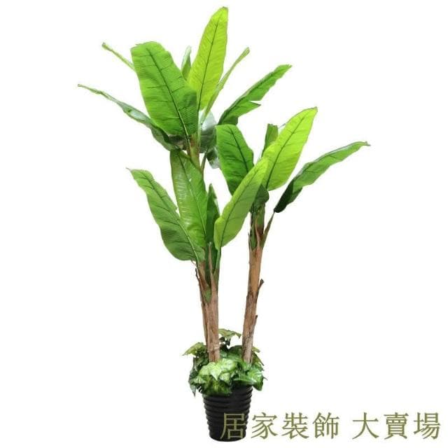仿真綠植 樹 龜背葉 琴葉榕 芭蕉樹仿真植物盆栽客廳假樹塑料大型裝飾椰子綠植仿真樹落地盆景